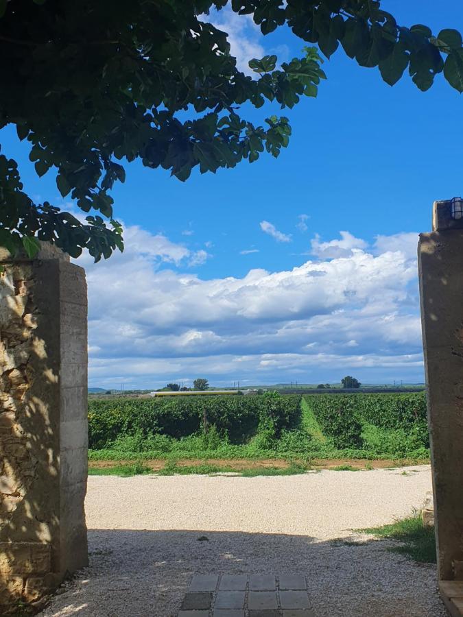Vergèze Mas De La Forge Noguier Bed & Breakfast エクステリア 写真