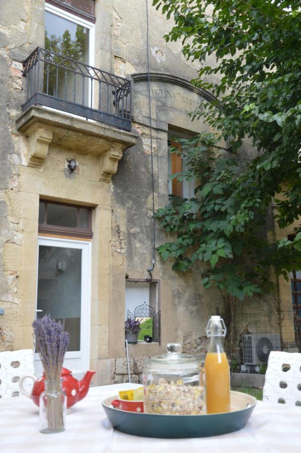 Vergèze Mas De La Forge Noguier Bed & Breakfast エクステリア 写真